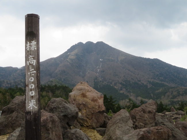 群馬県の片品村にある奥日光丸沼高原・日光白根山の散策をしました、近くにある白根魚苑にも行きました、宿泊は丸沼高原ペンション村にあるペチカで。<br /><br />日光白根山にはロープウェイを利用して標高2000ｍの山頂駅に、白根山登山口から史跡散策コースを歩きました、散策路奥の方は雪があり歩きずらい状況でした、山頂駅のそばにある天空の足湯は周囲の眺望を楽しみながら浸かれる場所です。<br /><br />丸沼高原から国道120号線をちょっと沼田方面に移動した場所に広大な敷地の白根魚苑がありました、ここではマスの塩焼きを食べたり、魚のつかみ取り・釣り・えさやりなどが出来たり、体験ができる施設です、炭火で塩焼きにしたお魚は美味しかったです。<br /><br />宿泊は丸沼高原のペンション村にあるペチカです、冬はスキー、夏は登山などで利用する人が多いようです、標高が1400ｍあり真夏は快適に過ごせそうです。