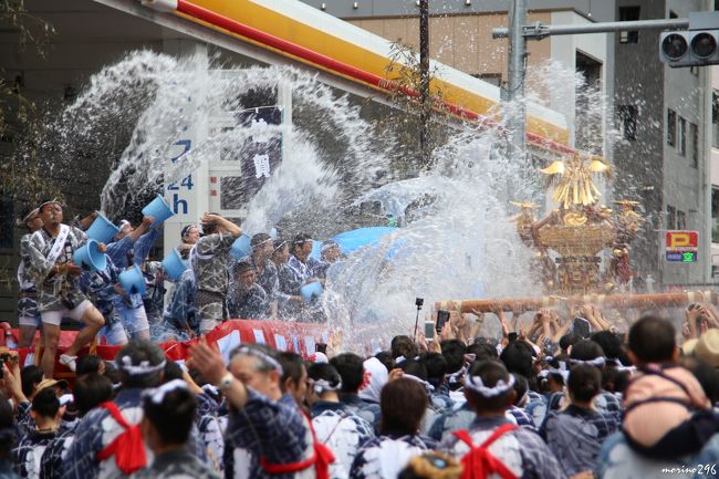 ３年ぶりに深川・富岡八幡宮の「水掛け祭り」を楽しみに出掛けました。<br /><br />富岡八幡宮の例祭は、「深川八幡祭り」とも呼ばれ、山王祭（赤坂・日枝神社）、神田祭（神田明神）とともに「江戸三大祭」の一つに数えられます。<br />例祭は、「本祭り」「御本社祭り」「陰祭り」が３年周期で行われており、今年は「本祭り」に当たり、神幸祭が12日、各町神輿連合渡御が13日、例祭は15日に執り行われます。<br />この日の各町神輿連合渡御には５３基の神輿が勢揃いし、沿道の人達から担ぎ手にお清めの水が浴びせられ、担ぎ手と観衆が一体となって盛り上がります。<br />（写真の枚数が多くなりましたので旅行記は２冊に分割しました。）<br /><br />３年前に行われたお祭りの旅行記はこちらです。<br />http://4travel.jp/travelogue/10919964<br />