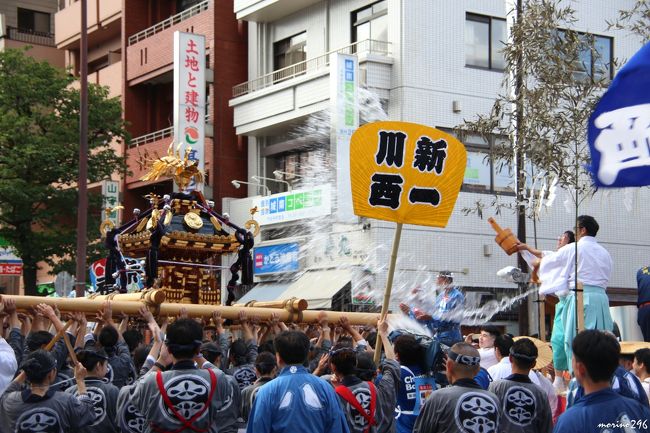 ３年ぶりに深川・富岡八幡宮の「水掛け祭り」を楽しみに出掛けました。<br /><br />富岡八幡宮の例祭は、「深川八幡祭り」とも呼ばれ、山王祭（赤坂・日枝神社）、神田祭（神田明神）とともに「江戸三大祭」の一つに数えられます。<br />例祭は、「本祭り」「御本社祭り」「陰祭り」が３年周期で行われており、今年は「本祭り」に当たり、神幸祭が12日、各町神輿連合渡御が13日、例祭は15日に執り行われます。<br />この日の各町神輿連合渡御には５３基の神輿が勢揃いし、沿道の人達から担ぎ手にお清めの水が浴びせられ、担ぎ手と観衆が一体となって盛り上がります。<br />（写真の枚数が多くなりましたので旅行記は２冊に分割しました。）<br /><br />３年前に行われたお祭りの旅行記はこちらです。<br />http://4travel.jp/travelogue/10919964<br />