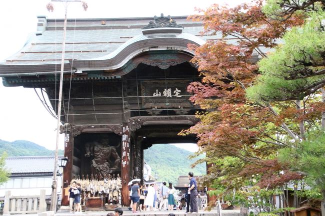 夏休みもお盆休みもない和が職場の８月唯一の３日連休。<br />その中日に、そうだ、長野に行こう！<br />と思いました。<br />今年2017年の夏もナイトズーを楽しみたいと思っていたのですが、長野の茶臼山動物園なら、レッサーパンダのおはなしが終わる20時すぎに動物園を出るようにすれば、新幹線でのそ日のうちに帰宅できます。<br />そして、通常の閉園時間よりも遅くまで動物園にいられるのだから、どうせなら午前中は善光寺に行ってみよう、と思いました。<br /><br />レッサーパンダの東の聖地といわれる茶臼山動物園は、初めて新幹線で遠征した動物園ですが、2017年７月に初めて訪れて以来、今回で通算12回目になります。<br />でも、いつも動物園で１日が終わってしまうので、過去11回、茶臼山動物園以外に行ったこともなければ、長野駅で降りたことすらないのです。<br /><br />というわけで、思いたったが吉日とばかりに新幹線の指定席を取ろうとしたのが４日前。<br />お盆の混雑をなめていた私は、第一希望のいつもの時間の新幹線の指定席は取れませんでしたが、なんとか９時に長野駅に着く席をゲットできたので、まずは善光寺へ！<br /><br />この旅行記では、善光寺の山門までのアクセス編と、ランチに参道の店でとった信州そばグルメや、善光寺のおまもり・帰りの長野駅で大急ぎで買ったおみやげ編の他、はじめての茶臼山動物園のナイトズーの様子の一環、という風に、１日の流れをざっとまとめました。<br /><br />＜三日連休中日を利用して遠征した長野の善光寺＆午後とナイトズーの茶臼山動物園の旅行記のシリーズ構成＞<br />■（１）アクセス編＆初めて降りた長野で善光寺（前編）～写欲がそそられた仁王門までの参道＆信州そばグルメ＆茶臼山動物園ナイトズーの様子＆善光寺のお守りと長野みやげ<br />□（２）善光寺（後編）：山門から本堂と経蔵の善光寺資料館まで～拝廊特別解放の山門から眺めた境内や資料館の特別展など<br />□（３）午後から訪れた茶臼山動物園：Hello！キリンとニホンザルの赤ちゃん＆がんばれ日本の淡水カメ<br />□（４）茶臼山動物園レッサーパンダ特集＆初のナイトズー：お散歩に代わりエサやり体験のロンくん！＆おさわりウォンバットと初めて会えたビントロングのシュートくん<br /><br />長野駅バスのりば案内<br />http://www.alpico.co.jp/access/station/nagano_sta.html<br />長野駅と善光寺間に利用した善光寺ロータリーバス「びんずる号」の路線図と時刻表<br />https://www.alpico.co.jp/access/nagano/binzuru/<br />信州善光寺公式サイト<br />https://www.zenkoji.jp/<br />茶臼山動物園の公式サイト<br />http://www.chausuyama.com/<br /><br />＜タイムメモ＞<br />06:30頃　家を出る<br />07:13　大宮駅到着<br />07:46　大宮駅発の北陸新幹線かがやき503号に乗車<br />（※06:54発はくたか551号は満席で指定席が取れず）<br />08:43　長野駅に到着<br />09:10　長野駅１番バス停から善光寺大門までバスに乗車<br />09:20　善光寺山門に到着<br />09:20-11:45　善光寺参拝＆見学<br />11:50-12:25　参道の「たきや」でそば道楽ランチ<br />12:25-12:35　「たきや」で買い物<br />13:00　善光寺大門乗り場からバスで長野駅に戻る<br />13:11　長野駅発のJR篠ノ井線・戸隠行に乗車<br />13:25頃　篠ノ井駅に到着<br />（ホームの待合室でZooぐるバスを待ちながら休む）<br />14:00　篠ノ井駅西口発のZooぐるバスに乗車<br />14:15　茶臼山動物園に南口から入園<br />14:15-14:20　ライオン<br />14:20-14:25　ジェフロイクモザル<br />14:25-14:40　サバンナエリア<br />（キリン＆赤ちゃん／シマウマ）<br />14:45-14:50　オランウータン<br />14:50-15:05　ニホンカモシカ<br />15:05-15:10　ニホンジカ<br />15:10-15:20　ニホンザル<br />15:20-15:30　ウォンバット・ツキノワグマ<br />15:35-15:55　2017年企画展「がんばれイシガメ」<br />15:55-16:00　子供動物園<br />（アルパカ・ヤギ・ヤマアラシ）<br />16:00-16:05　アジアゾウ<br />16:05-16:50　レッサーパンダ<br />（すでに屋外パンダ出勤）<br />16:50-16:55　ビントロング<br />17:00-17:50　レッサーパンダ<br />17:50-18:00　休憩<br />18:00-18:10　アジアゾウにスイカのプレゼント<br />18:15-18:30　ウォンバットのおさわりタイム<br />（地方局のテレビ中継あり）<br />18:30-18:40　ツキノワグマのおやつ見学<br />18:40-18:45　ニホンザル<br />18:55-20:00　レッサーパンダ<br />（19:05～ロンくん展示場前で整理券確保のために並ぶ）<br />（19:30～おしえてロンちゃん＆エサやり体験）<br />20:10　南口から動物園を出る<br />（ナイトズー閉園時間は21時）<br />20:20　南口発ナイトZooぐるバスに乗車<br />20:35　篠ノ井駅西口に到着<br />20:39　篠ノ井駅発のしなの鉄道・長野行きに乗車<br />20:52　長野駅に到着<br />21:00-21:05　長野駅の新幹線待合室のコンビニで買い物<br />21:15　長野駅発の新幹線あさま630号に指定席を変えて乗車<br />（指定席をとっていたのは22:05発かがやき518号）<br />（21:46発はくたかでも22:05発かがやきでも帰宅時間は同じ）<br />22:34　大宮駅到着<br />23:30頃　最寄り駅に到着<br />23:40頃　帰宅<br />