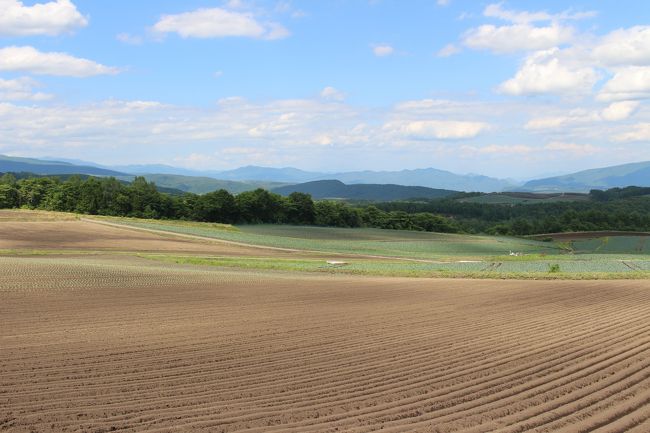 前年の秋に初めて訪れた時、まるで北海道の美瑛のような、雄大でおだやかな丘陵の景色にとても驚きました。<br />その後冬の雪景色を見に行き、今回は、初夏の季節に再訪してみました。<br /><br />とても、雄大ですばらしい景色を見ることができました。<br /><br />主なルート<br />二度上峠、浅間牧場、つまごいパノラマライン南ルート（途中、浅間高原しゃくなげ園）→北ルート（途中、バラキ湖）