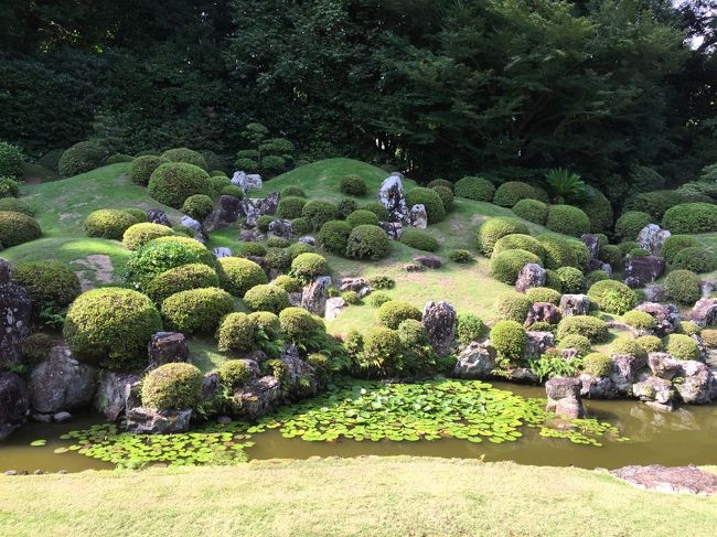 昨夏は、（見もしない）大河ドラマ真田丸に影響されて、上田に足を延ばしました。<br />今夏も、（一度も見たことない）直虎に影響されて、井伊谷を中心に浜松を巡って来ました。<br /><br /><br />なかなか楽しい気ままな浜松旅行でした。<br />一泊二日ですが、写真が多いので2部構成といたします。<br /><br />7/15<br />　浜松 出世の館（浜松駅そば）<br />　八百徳（うな重）<br />　浜松城<br />　大河ドラマ館<br />　龍潭寺<br />　井伊谷宮<br />　出生の井戸<br />　妙雲寺<br />　渭伊神社<br />　天白磐座遺跡<br />　ホテル（磐田グランドホテル泊）<br /><br />7/16<br />　方広寺<br />　初山宝林寺<br />　井伊直親の墓<br />　蜂前神社<br />　三方ヶ原古戦場跡<br />　石松（浜松餃子）<br /><br />