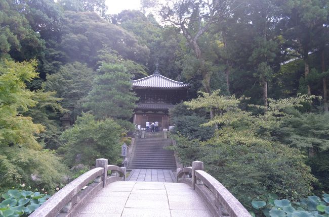 難病と診断されて2回目の誕生日を迎えることができました。そこで、恒例のバースデイ旅行の行先は、京都を選択しました。<br />まだ行ったことがない寺社を中心に巡り病気平癒と御朱印集め、そして好きな重要伝統的建造物群保存地区の散策が目的です。<br />短時間で回ることができないため、今回は祇園界隈を歩いて回ります。<br />現在の体調および猛暑日の中では、ゆっくりとしか歩くことができないため、他にも回りたいところがありましたが、これが限界でした。<br /><br />