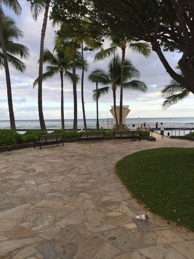 いよいよ、来月のハワイ旅行が近づきました。 <br />今回は景色の写真を投稿