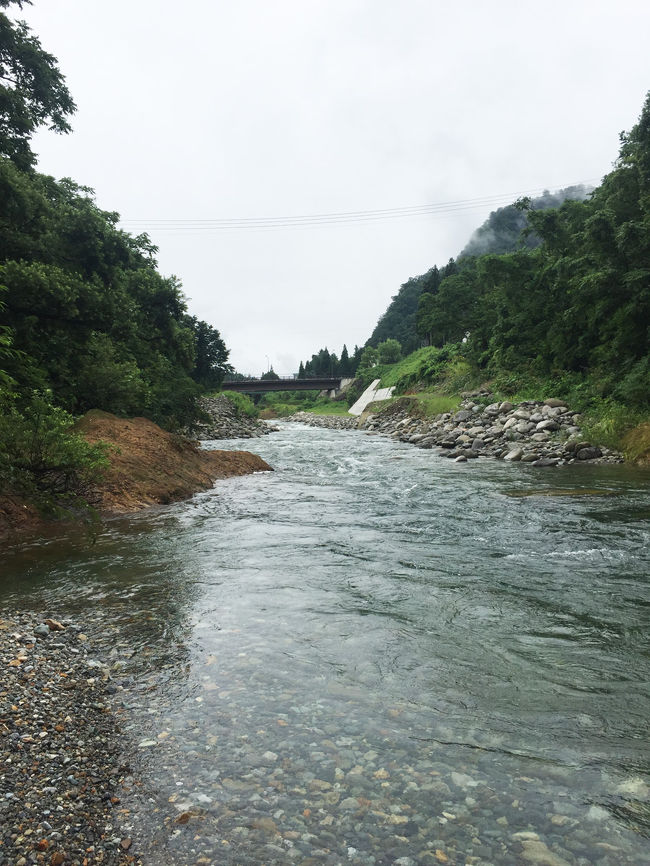 今年のお盆休みは1泊ですが新潟県の湯沢町へ行って参りました。<br />宿泊先は、とても親切なご家族が経営されているいつもの宿です。<br />ここのところ子供たちの受験などがあり冬に湯沢でスキーを楽しむ事が出来なかったので、今回はお友達家族と一緒にお盆休みを利用して夏の湯沢で遊んでまいりました。<br /><br />13日、早朝4時に私たち夫婦と友人夫婦二組で車に乗り東京を出発。<br />渋滞にも巻き込まれず、まだ空いている関越道を軽快に走行。<br />途中上里SAで休憩し、赤城高原SAで、もう一家族の友人と合流。<br />無事７時過ぎには越後湯沢に到着。<br />湯沢の天気は曇り。<br />予定より早く着いたので魚野川の河原へ。<br />まだ肌寒い中、魚野川へ飛び込み水遊び！！<br />いやぁ～冷たかった～～～(*_*;<br />それでも童心に返り楽しく泳いできました（笑）<br />体が冷え切ったのでお昼前に川から上がりBBQの買い物へ。<br />川から上がったらお天道様が出て暑くなってきました（笑）<br /><br />午後からは湯沢の定宿「IZUMIYA」さんで盛大にBBQ。<br />お肉や魚介を焼き、夕方までみんなでワイワイと騒いでいました。<br /><br />翌日14日は、朝からあいにくの小雨…<br />それでも朝の新鮮な空気を吸って、自然が沢山ある宿も周りを散策。<br />本当に気持ちがいい朝でした。<br />午前中は宿で栽培しているじゃがいもの収穫のお手伝いをしました。<br />機械を使わず手作業なので結構な重労働でしたが、普段東京では出来ない楽しい体験が出来ました。<br /><br />この日のお昼は「へぎそば」<br />いつものお店がいっぱいだったので、初めて行くお店「しんばし 越後本手打ち」さんへ。<br />天麩羅などは大変美味しく頂きましたが、正直へぎそばがちょっと･･･って感じでした。<br />手打ち蕎麦で、普通の蕎麦としては美味しいと思いますが、へぎそば好きの私には海藻の香りが感じられず物足りなさが残りました。<br /><br />あまり天気が良くなかったので、午後は河原ではなく釣り堀り「登川フィッシングパーク」で釣りを楽しみました。<br />みんなで10匹ほど釣って夕飯のおかずにしました。<br />久しぶりの湯沢旅行。<br />しっかり楽しんできました。<br />次は秋にでも行きたいし、今年はスキーにも行けるかな？！<br /><br /><br /><br />宿泊先：ファンタジェン イズミヤ<br />http://f-izumiya.com/<br /><br />へぎそば：しんばし　越後本手打ち<br />http://www.soba-shinbashi.net/<br /><br />釣堀：登川フィッシングパーク　<br />http://www.20041101.com/fish/index.html<br /><br /><br />