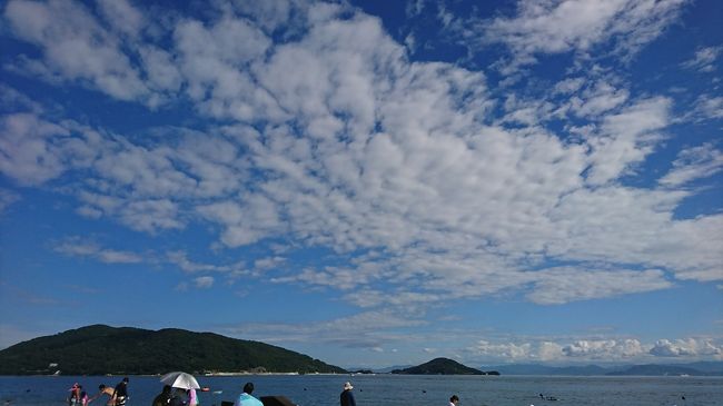 小豆島の綺麗なビーチと、ペルセウス座流星群と、キャンプファイアーと、BBQと、ついでに大阪観光。<br />新幹線以外のほとんどの乗り物に乗った旅<br /><br />■初日<br />　電　車:自宅⇒東京駅<br />　バ　ス:東京駅⇒成田空港<br />　バ　ス:搭乗口⇒飛行機<br />　飛行機:成田空港⇒関空<br />　バ　ス:関空⇒高速船乗り場<br />　　船　:関空⇒神戸空港<br />　バ　ス:高速船下り場⇒神戸空港駅<br />　電　車:神戸空港⇒三宮<br />　徒　歩:三宮⇒ドン・キホーテ<br />　タクシ:ドン・キホーテ⇒ジャンボフェリー乗り場<br />　　船　:三宮⇒　船中泊<br /><br />■二日目<br />　　船　:船中泊　⇒小豆島<br />　バ　ス:下船港⇒オリーブビーチ<br />　徒　歩:オリーブビーチ⇒山の上の温泉<br />　バ　ス:山の上の温泉⇒土庄<br />　　車　:土庄⇒エンジェルロード⇒山の上の石の館<br /><br />■三日目<br />　徒　歩:土庄⇔迷路の街<br />　バ　ス:土庄⇒双子なんとか<br />　徒　歩:双子何とか⇒BBQ<br />　　車　:BBQ⇒土庄<br /><br />■四日目<br />　バ　ス:土庄⇒ジャンボフェリー<br />　　船　:小豆島⇒神戸<br />　バ　ス:三宮下船⇒三ノ宮駅<br />　電　車:三宮⇒大阪駅⇒新今宮<br />　徒　歩:大阪散策<br />　電　車:大阪駅⇒新今宮<br />　特　急:新今宮⇒岸和田<br />　電　車:岸和田⇒宿の近くの駅<br /><br />■五日目<br />　電　車:宿の近くの駅⇒関空<br />　バ　ス:ターミナル1⇒ターミナル2<br />　飛行機:関空⇒成田<br />　バ　ス:成田⇒東京駅<br />　電　車:東京駅⇒自宅<br /><br /><br />宿泊:小豆島⇒　マルセ本館<br />　　 大　阪⇒　長次郎ロッジ<br />　