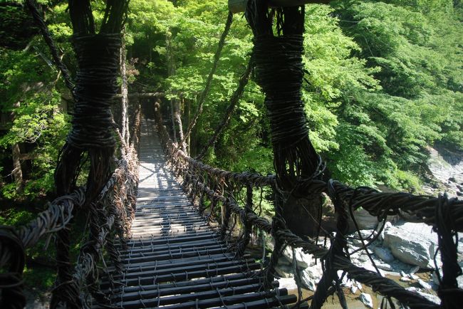 祖谷の旅２日目、京上からバスでかずら橋に向かいました。<br /><br />トリップアドバイザーの「死ぬまでに渡りたい世界の徒歩吊り橋１０」<br />（ https://www.tripadvisor.jp/TripNews-a_ctr.SuspensionBridges ）<br />に選ばれた、今回の旅の目的「祖谷のかずら橋」の観光です。<br />かずら橋は、日本三奇橋にも数えられていると言われているようですが、三奇橋については諸説あるようです。<br /><br />かずら橋は、平家の落人が作ったとも言われ、天然のカズラを編んで作られた吊り橋は現在では他に例を見ません。<br />平日で、観光客も少なかったので１時間ぐらいでじっくり見て回ることが出来ました。<br /><br />