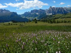 2017 ドロミテ＆チロル旅行記 【8】 Alta Badia の休日 ～ 名峰と花に囲まれて ～