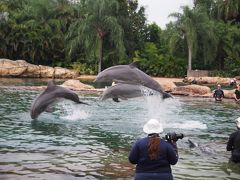 3世代でフロリダ② イルカにキス！ディスカバリー・コーブ