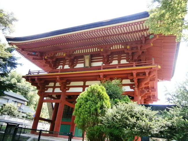 岡崎市にある瀧山寺の宝物殿に収められている運慶作の観音菩薩像が今度、東京国立博物館に貸し出されることになりました。<br />今はその前の準備のため、首や頭に宝飾品をつけられて普段より美しくなっているから、今見に行くといいよ。と教えられ、早速見てきました。<br /><br />感想は、想像以上に美しく、住職さんが丁寧に分かりやすく説明をしてくださり、とてもよかった。<br /><br />多くの人に見てもらいたい気持ちと、いい物過ぎて、あまり教えたくない気持ちと半分半分。<br /><br />三尊立像で、一体がどこかの博物館に貸し出されていることもあるので、電話で確認をしてから行くことをおすすめします。