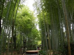 4人旅行「修善寺・伊豆長岡」2017　前編