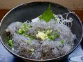 平塚・大磯の旅行記