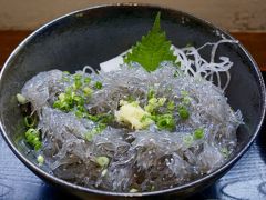 湘南で１泊。憧れの生しらすを食べに行く。