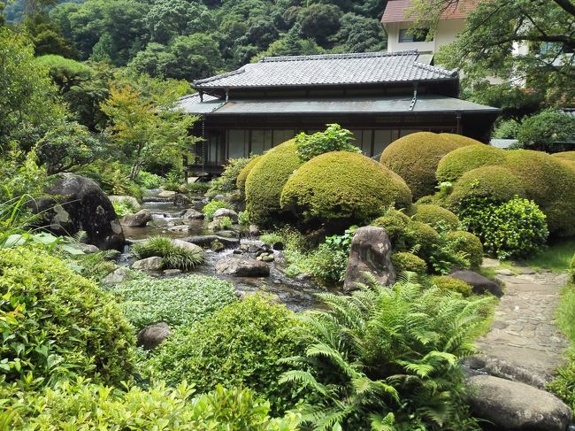 以前から興味のあった箱根湯本温泉滝通り温泉郷。<br />レトロな旅館が立ち並ぶ魅力的な場所だが、宿泊するとどの旅館も結構なお値段。<br />高嶺の花だねぇ・・・と思いきや、奥様が吉池旅館の日帰り入浴付き昼食プランなるものを探してきた。<br />お盆休みだし満員かと思ったが、これも意外や十分な空きがあるらしい。<br />そういう事でお盆の一週間前にネットで予約して伺ったが、大変良かったので紹介する。