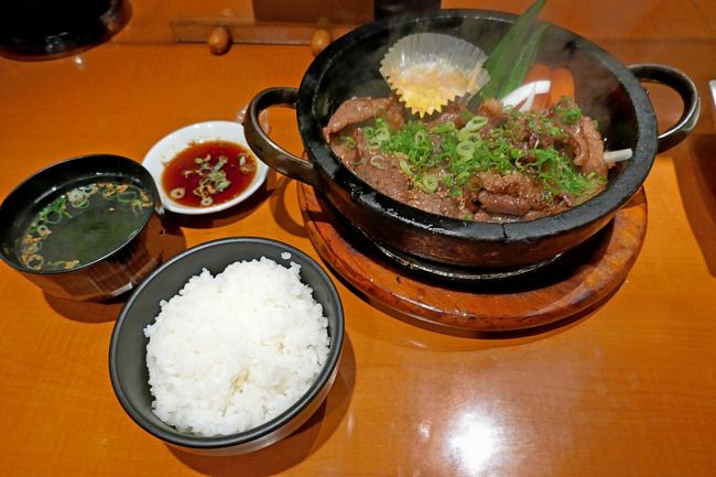 甲府から帰った後,午前仕事をして,午後から大阪へ.仕事は明日なので今日はホテルでゆっくりしよう.宿舎はコートヤード・バイ・マリオット 新大阪ステーション,以前ホテルラフォーレ新大阪時代に一回泊まったところだ.リニューアルで見違えるほど高級なホテルに,部屋もいいし,風呂もまあまあ.ビジネス風で落ち着いた部屋だ.小さいが机もあってうれしい.朝食も種類が多く,非常によい.ただ案内してくれたウエーターが,番号札をもって申し込むことを教えてくれなかったのでオムレツを頼むとき手間取った.しっかり説明してほしい.<br />夕食は新大阪駅の大阪焼肉 松屋 新大阪店に入る.ボリュームのある焼肉が安い!ハラミでなく,カルビにしたが,おいしい肉だった.たれもとてもあっている.肉好きならとてもいい店と思う.ナムルもサラダもおいしかった.ゆっくりできた出張だった.