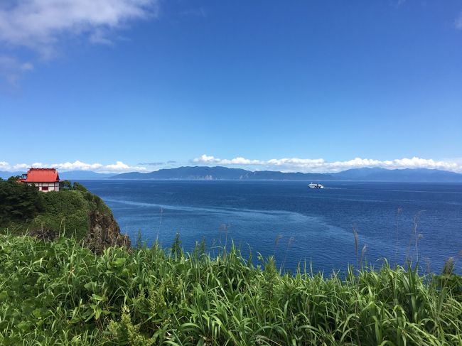 北海道をじっくり旅するのは、5回目。<br /> 平成29年夏は、昨年と同様に北海道を10泊で廻ってみることにした<br /> 昨年夏は鉄路を軸に廻ったので、今回は、「バス路線」も取り入れ、また、奥尻島、天売島、焼尻島にも行ってみることにした、そして、鉄道の通っていないような未訪の街にも寄れるだけ寄ってみることにした<br /> 8月の北海道は基本的に快晴の日が多いが、今回は台風5号に翻弄されることになる、台風に起因する前線のため雨の日があったり、帰りの飛行機が欠航となったり波乱があった<br /> しかし、原付や自転車で疾走した奥尻島、天売島、焼尻島では、天候にも恵まれ最高の時間を過ごせた、また、北竜町では一生分のひまわりを堪能できたし、日本海とオホーツク海沿いに乗った路線バスからは常時絶景を見ることができた、加えて、連日、最高の海鮮と、楽しいおもい出も数多く紡ぐことができた<br /><br /> 一日目は、函館空港から路線バスで函館市内へ、函館駅から道南いさりび鉄道で木古内駅へ、木古内駅前バス停から路線バスで江差町に入り、江差町で一泊、この旅一番かもしれない海鮮を頂く<br /> 二日目は、江差港からフェリーで奥尻港へ、レンタル原付で奥尻島を隈無く周り、奥尻島で一泊した