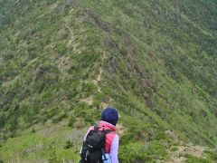 5月のアポイ岳は高山植物の楽園   2000m級の山に登った気分になれる不思議な魅力（13）