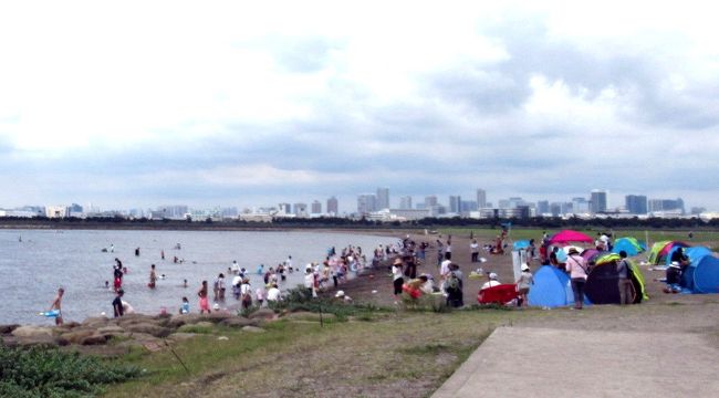 「海に行きたい」と言う孫の希望から、東京で海水浴が出来る葛西臨海公園を訪れた。<br />海水浴は、葛西臨海公園から海に突き出した葛西海浜公園「西なぎさ」で、海水浴体験と称して夏場限定で海水浴体験を開催していた。（平成29年7月17日～平成29年8月20日）。<br />海水浴場は、人口海浜という事も有り、砂浜は少なく海も遠浅で波もあまりない。<br />泳ぐには物足りないが、子供には丁度良かった。<br /><br />その後、葛西臨海水族園で帰ってきたマグロなど見て、最後に大観覧車に乗ってスカイツリーやディズニーランドなど見下ろした。<br /><br /><br />葛西臨海公園の過去の旅行記は以下です。<br /><br />東京ぶらぶら　葛西臨海公園　２０１３年秋<br />http://4travel.jp/travelogue/10845877<br />東京ぶらぶら　葛西臨海公園　２０１０年秋　鳥類園も<br />http://4travel.jp/travelogue/10513211