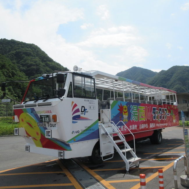 東武鉄道特急スペーシアの個室に乗って温泉に行く、のがミッションです。<br /><br />スペーシアの個室は以前に利用して鬼怒川温泉に行ったので、違う場所へ。湯西川温泉か川治温泉か。迷って※イベントがあって退屈しない※ということで選んだ星野リゾート界川治、です。若いカップル、子連れ、倦怠期のオールド夫婦には飽きさせない工夫があり、廃墟ホテルが多い哀しい川治温泉で頑張っている宿、でした。<br /><br />湯西川ダックツアーは、水陸両用車で湯西川ダムにドボーン、ですが、ダムの底までエレベータで降りられて、黒部ダムよりもお勧め、とガイドさん。アブをハエたたきでやっつけながらガイド説明が、とても面白かったです。<br /><br />2017年8月10日に運転開始されたばかりのSL大樹、乗り換えの下今市駅で開設されたばかりの「転車台広場・SL展示館」に遭遇でき、ラッキーでした。<br /><br />画像は湯西川ダムに着いた水陸両用車です。<br /><br />