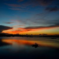 フィリピン　マクタン島・ボホール島　自然観察・・・（後半のボホール島　さる・カニ・さかな・・）