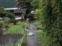 ２０１７夏の岐阜・長野１泊２日★１ 飛騨