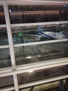 2017年 盛夏 羽田発NH深夜便でバリ島11日間（往路）