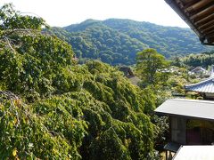 お寺でヨガして嵐山を散歩