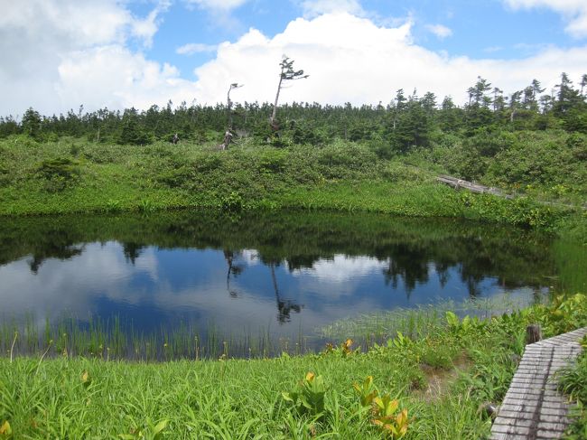 八幡平を歩きました。<br />こんなに広い湿原・沼地を歩くのは初めてで、花々がいたるところに咲いていて、きれいでした。<br /><br />小岩井農場はとても広かった！<br /><br />雄大な東北の自然に、触れることができました。