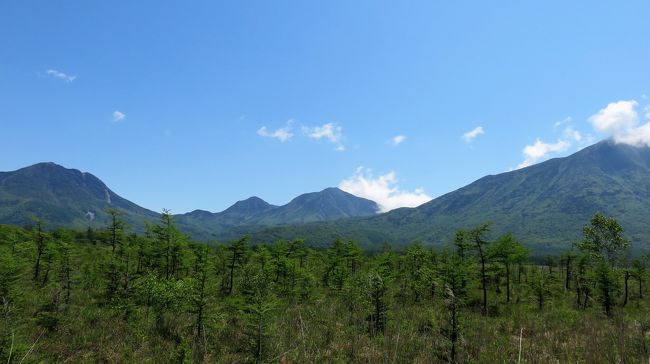 日光旅行の2日目です。<br />1日目はクリンソウを堪能してから小田代ヶ原から湯元温泉への静かなハイキングを楽しみましたので、2日目は戦場ヶ原から竜頭の滝までハイキングしました。<br /><br />山や高原は午後になると雲が出ることが多いのでやっぱり午前中が勝負です。宿の朝食をささっと済ませてバスに乗り込んで戦場ヶ原に出かけたら、快晴の中素晴らしい景色を見ることが出来ました！早起きは三文以上の得です！<br />鳥の声を聴きながら歩く青空の下の戦場ヶ原はとてつもない解放感！<br />日光連山にレンゲツツジやワタスゲ、遅咲きのズミなど花もたくさん見られて幸せです。感動のあまり前日に引き続きたくさん写真を撮りまくっていました。<br />アップダウンもほとんどないので、体力の無いうちの母でも楽しめるハイキングコースで、母も大満足の様子でした。<br /><br />このあと東照宮にも寄りましたが写真が多いので旅行記その３に続きます。