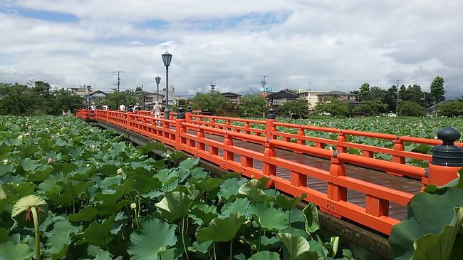 　ご覧戴きましてありがとうございます。<br />　2017年８月のお盆時期は富山にある実家に帰省していました。<br />　そのうち８月12日の土曜日は富山にある実家を起点に新潟県上越方面へ向けて日帰りでドライブをしてきました。<br />　今回はその日帰りドライブの様子をご覧戴きます。<br />　なお今回は一部の写真のコメントを割愛したいわゆる手抜き旅行記になりますので、ご了承の上、宜しければご覧ください。<br /><br />