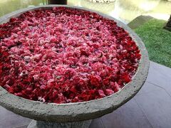 2017 盛夏 タバナンVILLA TAMAN DI BLAYU