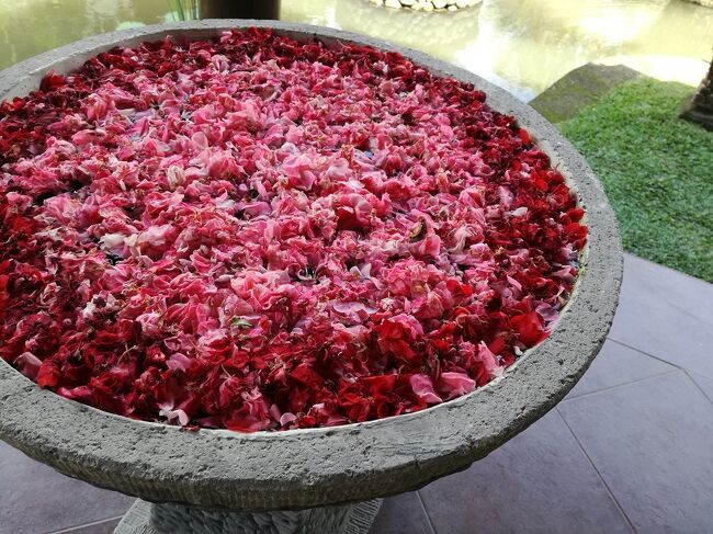 2017 盛夏 タバナンVILLA TAMAN DI BLAYU