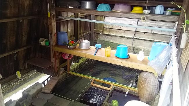 2017年夏休み第一弾。旅の1日目メインは「水と暮らしの文化」が息づく湖西・高島。かねがね興味があった「川端(かばた…自噴する湧き水を生活の中で利用するための水循環システム)」が今も各家で使われている針江地区を朝一番で訪れ、ガイドさんに案内していただきました。<br /><br />【8/18】針江生水の郷・川端見学→(ランチ:かばた館)→藁園神社→山の辺の道~西教寺→(夕食:あゆら)→大津 泊<br />【8/19】賤ヶ岳→伊香具神社→黒田観音寺→(ランチ:隠れ里 重内)→渡岸寺→北国街道木之本宿→(夕食:長浜浪漫ビール)