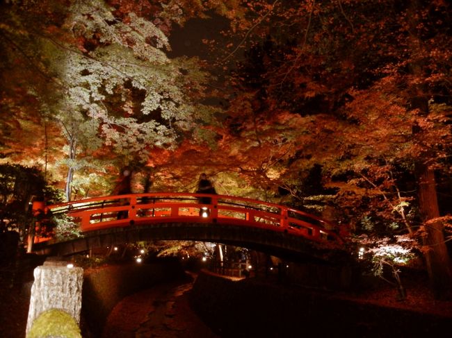 平成２８年１１月下旬の京都の紅葉の様子です。<br />今年は紅葉の色づきが例年より早く、多くの名所ですでに散っていました。