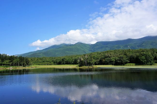2017夏の北海道③４泊５日の旅　能取湖からウトロへ（原生花園、知床五湖、カムイワッカの滝）