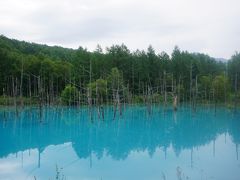 北海道　一人旅DAY3　富良野～美瑛～札幌