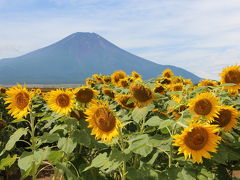 箱根から花の都公園へ