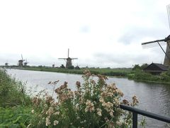 海外一人旅第13段はオランダ田舎町をお散歩 - 3日目（キンデルダイク、ロッテルダム編）