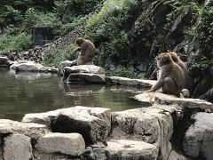 青春18切符の旅2017夏(長野2日間2日目):湯田中発。野猿公苑・松代・善光寺