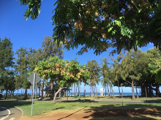 今年もHawaiiに行けました！<br />初めて6月に行ってまいりました！<br /><br />今年は女友達とアラサー2人旅。<br /><br />名残おしいけど、帰国日です。<br />そこで、事件が！！