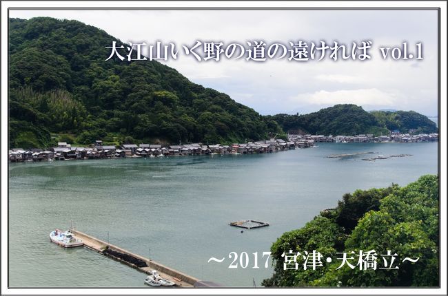 「大江山いく野の道の遠ければ<br />　まだふみも見ず天の橋立」<br /><br />百人一首にもなった小式部内侍[こしきぶのないし]の有名な歌。<br />もちろん、今回の旅の目的地「天の橋立」にちなんだものです。<br /><br />今回はそう！孫旅。<br />昨年は「白浜」に行ったんですが、「去年は南だし、今年は北か！」という<br />まことに熟慮ある選択によって決定いたしました。<br /><br />昨年はその後に「福島」に学び旅に行ったのですが、<br />今年は先に「松山」への学び旅を終えての「満を持して」の旅となります。<br /><br /><br />が！が！が！<br /><br />８月７日(月)といえば、台風５号がまさにどんぴしゃに近づいておりました。<br />我々はこの５号とともに北上し、荒れ狂う最中の海に到着するわけです。<br /><br />夏にしか旅行できないとはいえ、本当によく台風にあうものだと<br />我ながら感心しきり。<br /><br />さてさてどうなることやら。<br />今回もまた単なる家族日記になりますが、よろしくお願いいたします。<br /><br />旅程<br /><br />2017/08/07　京都→宮津→天橋立<br /><br />2017/08/08　天橋立→伊根町→城崎温泉<br /><br />2017/08/09　城崎→竹田→京都・鉄道博物館<br /><br /><br />※　追記　※<br />昨年（2017年）は転勤あり、大病あり、引越ありと激動の一年でした。<br />そのため旅行記の更新等、手を付けることが全くできませんでした。<br />少しずつ生活パターンを再構築しておりますので、<br />どうか温かい目でお見守りくださいませ。