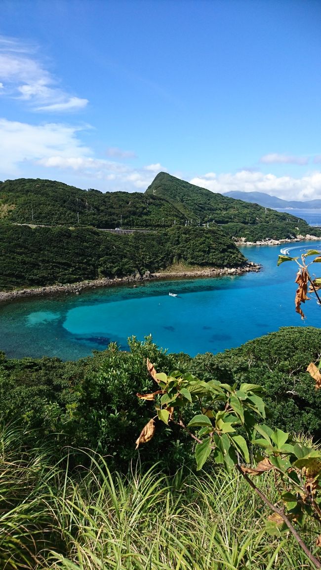 大阪から車で広島・福山→しまなみ街道→愛媛→柏島へ<br />柏島でダイビングを１日、３本した時の報告