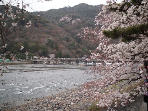 春の京都ひとり旅【７】二日目・桜咲く嵐山、天龍寺、引源寺、宝厳院