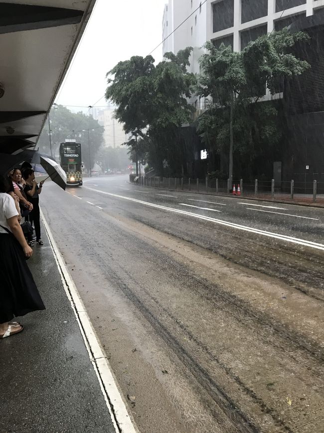 台風一過の次の日、晴れるかと思いきや雨。<br />風は穏やかだけど、土砂降り。<br />今回は天候に恵まれませんでした。<br />でも、香港は逃げていきませんから！<br />次回にリベンジ！！