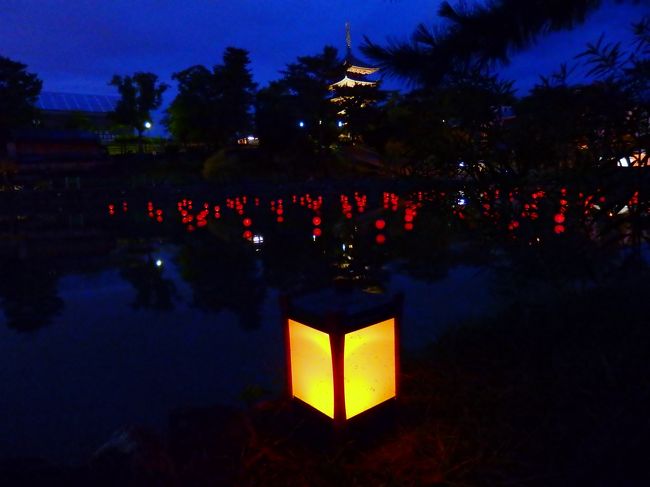 所用があって奈良に出かけてきました。<br />奈良公園一帯でライトアップされているとのことで、帰りの時間を気にしながら猿沢池周辺を少しだけ歩いてきました。