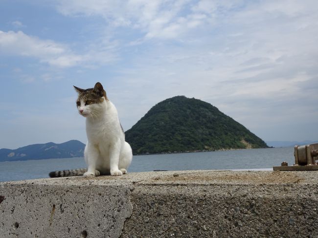 飛び猫ゲットなるか In 佐柳島 ちょこっと真鍋島も 丸亀 宇多津 多度津 香川県 の旅行記 ブログ By Nekoloveさん フォートラベル