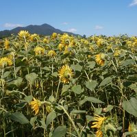 青春18夏2017　⑦　盛岡周辺