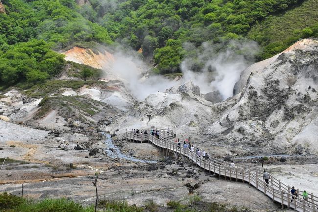 登別（のぼりべつ）温泉の大きな魅力は、自然湧出量1日1万トンと言われる湯量と9種類もの泉質で、「温泉のデパート」と呼ばれています。<br /><br />温泉のまわりには、温泉が流れ込む川に入れる「大湯沼川天然足湯」、大規模な湯の沼「大湯沼」、数多くの湧出口や噴気孔のある「地獄沼」があります。<br />特に「登別地獄谷の湯けむり」は、環境省の「かおり風景100選」（かおりの源は硫黄）に選ばれています。<br /><br />登別の町を歩いていると、至る所に表情の異なる「鬼の像」に出会います。<br />地獄谷に棲む鬼は「湯鬼神（ゆきじん）」と呼ばれており、人々の幸せを願い厄を持ち去る良い鬼なんです。<br /><br />旅行記は登別観光協会の資料を参考にしています。<br />