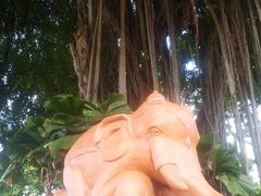 高校生息子とバンコク旅行②ミズオオトカゲ編