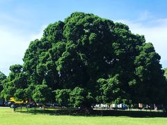 夏の台南　2017　二日目